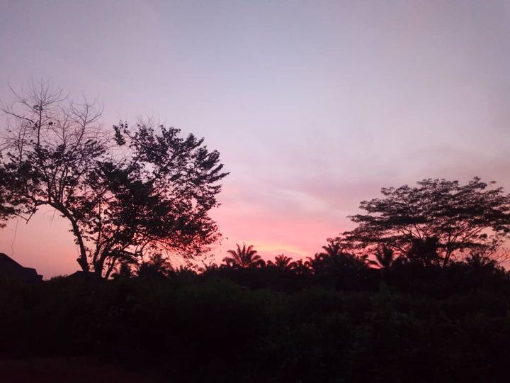 a picture of Àkòdì Òrìṣà at sunset, Ile Ife, Nigeria.
