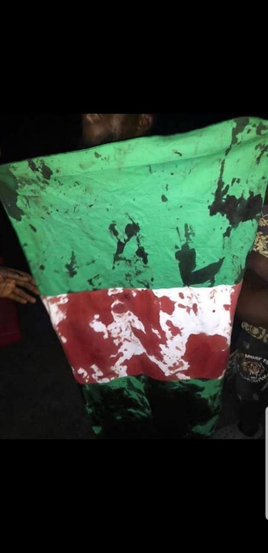 a picture of the nigerian flag soiled with blood